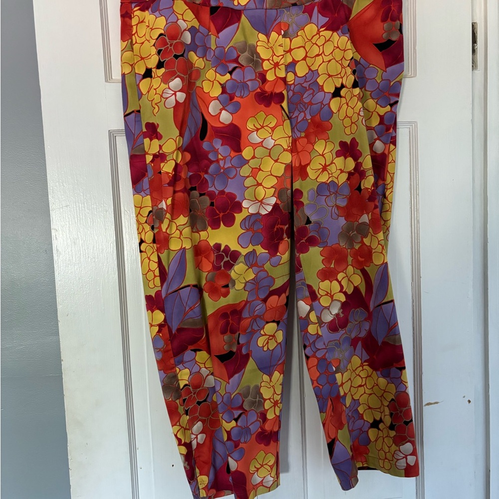 Talbots Colorful Pants 16w